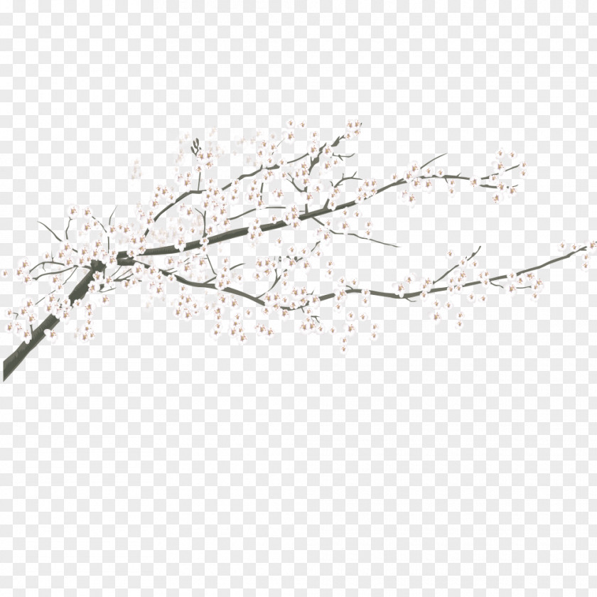 Ameixa Vector BL Originality Twig Body Sky PNG