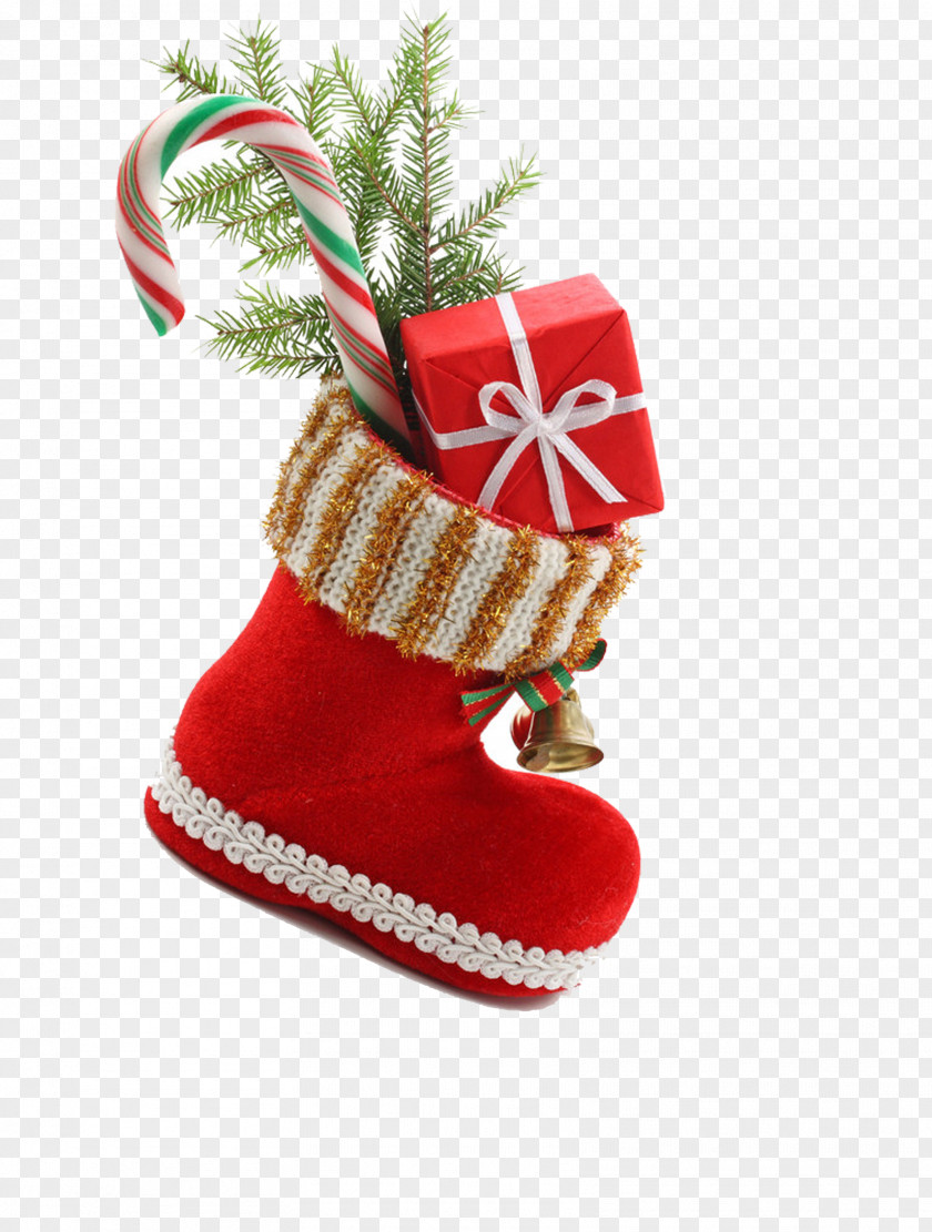 Christmas Gift Tree New Year Solemnity PNG