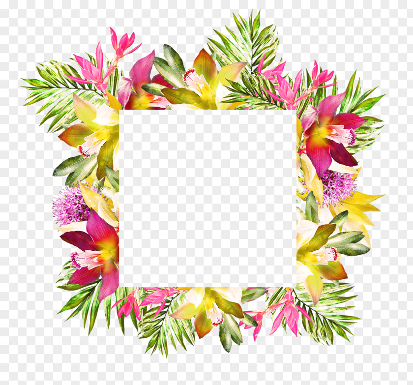 Flower Floral Design Cut Flowers Image PNG