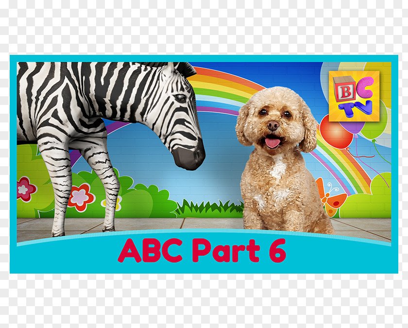 Puppy Alphabet Song Dog Letter PNG