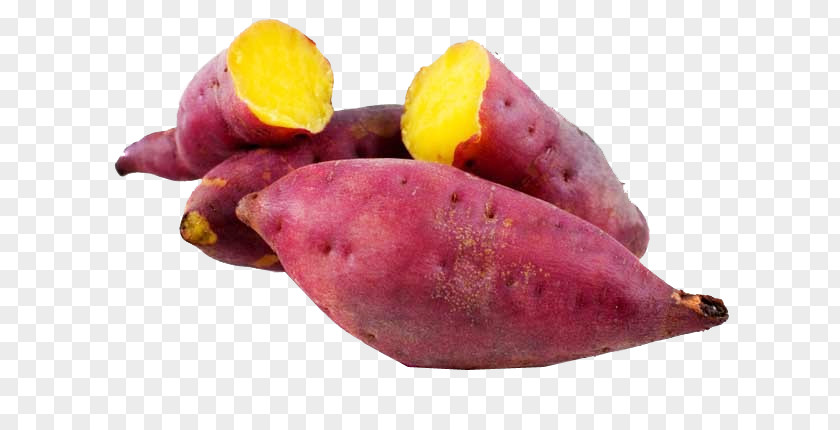 Sweet Potato Nutrition Vegetable Yam PNG