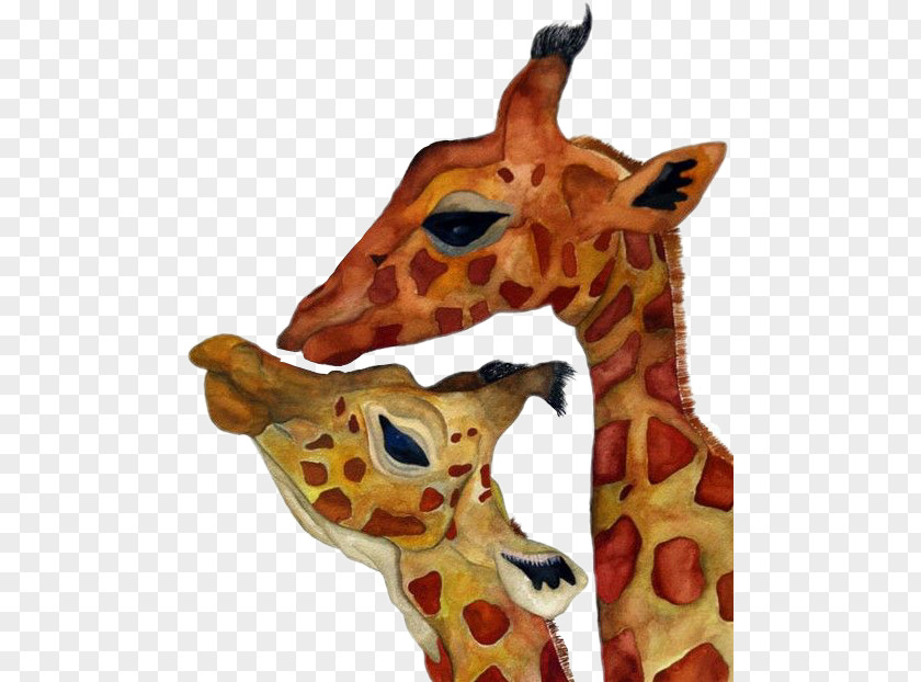 Baby Giraffes Northern Giraffe Reticulated Animal PNG