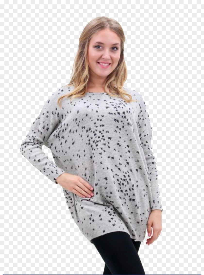 Bird Blouse Flock Sleeve Sweater PNG