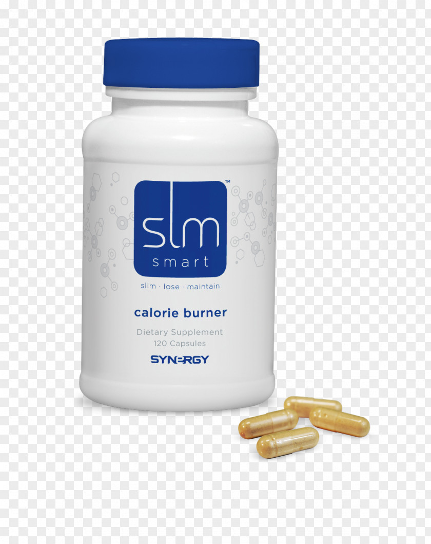 Calorie Weight Loss Synergy Thermogenics Price PNG