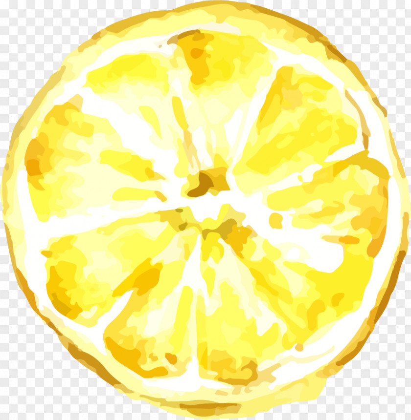 Cartoon Hand Painted Lemon Drawing Icon PNG