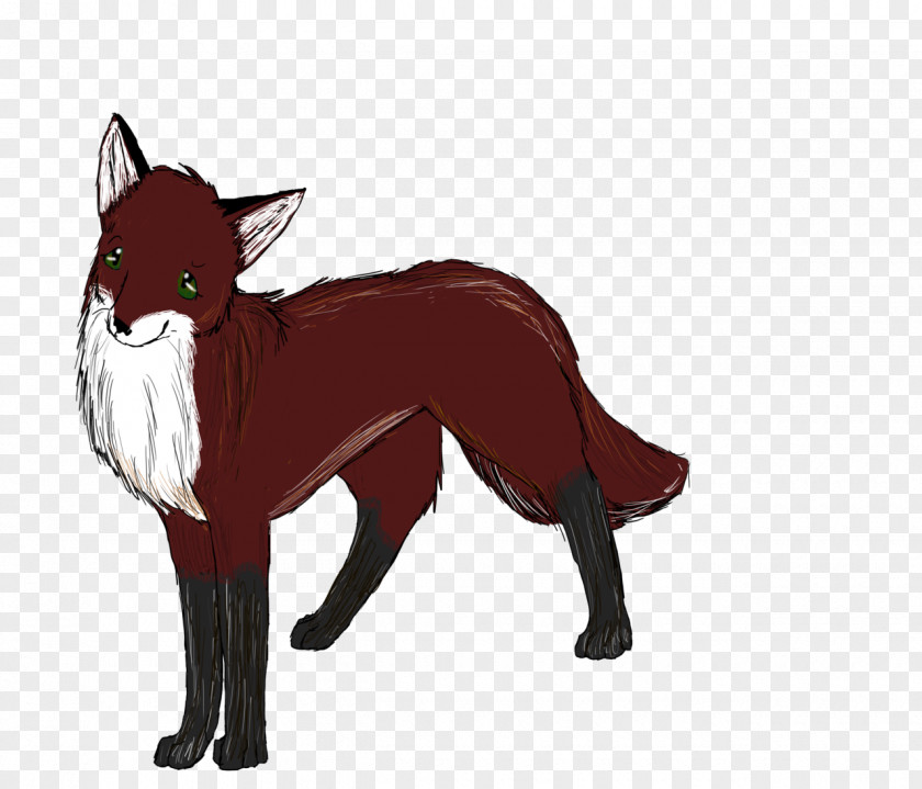 Dog Red Fox Wildlife Snout PNG