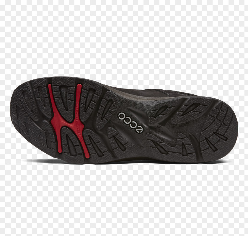 ECCO Sneakers Hiking Boot Shoe Flip-flops PNG