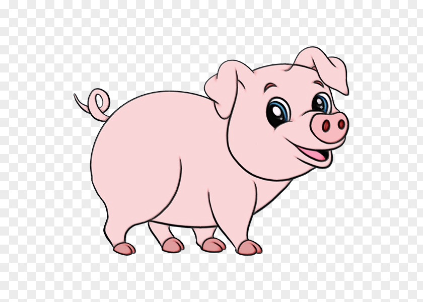 Fawn Livestock Pig Cartoon PNG