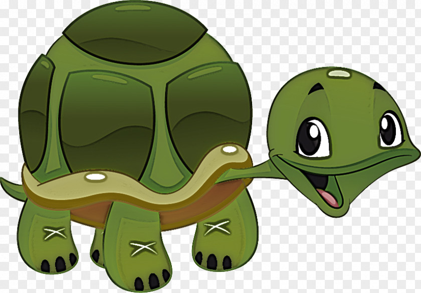 Frogs Tortoise Green Cartoon Science PNG