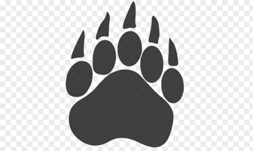 Matte Finish American Black Bear Paw Polar Clip Art PNG