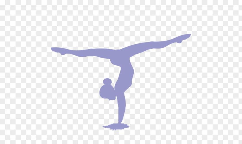 Team Artistic Gymnastics Split Sport Rhythmic PNG