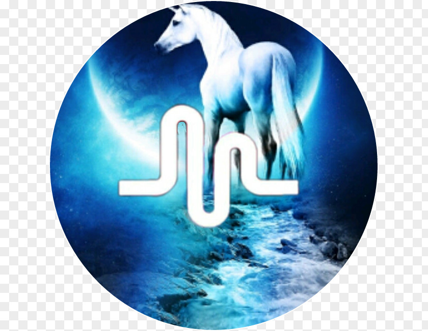 Unicorn Musical.ly Image Logo PNG