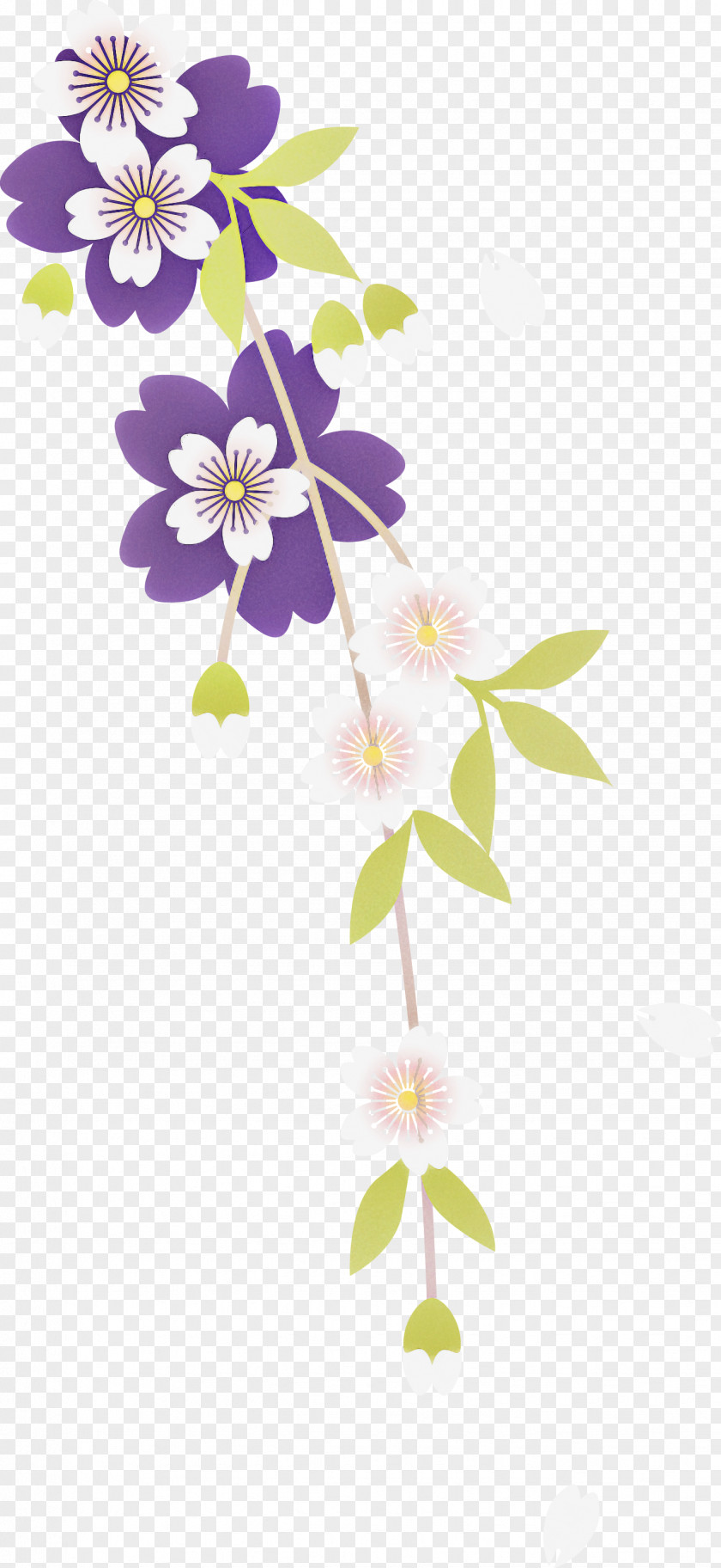 Cherry Flower PNG