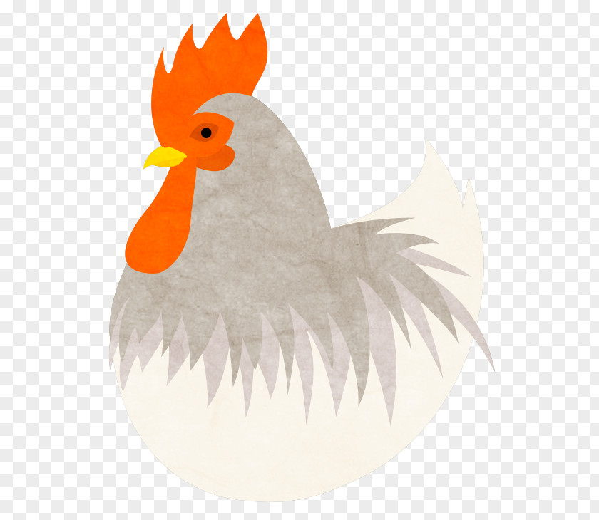 Crow Material Rooster Chicken Bird Beak Feather PNG