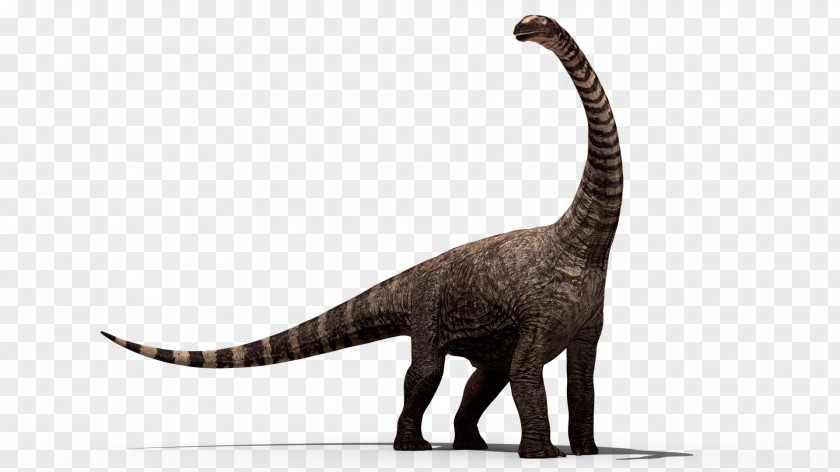Dinosaur Stegosaurus PNG