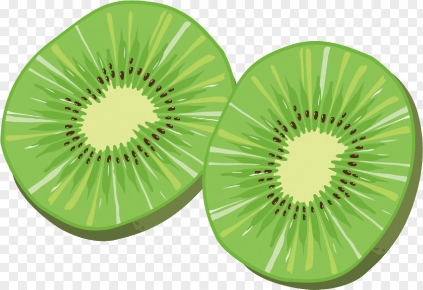 Kiwi Vector Material Kiwifruit PNG