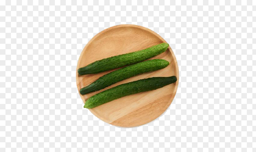 Organic Cucumber Leaf Vegetable Download PNG