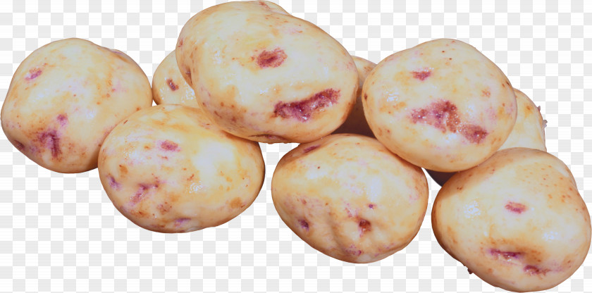 Potato Root Vegetables Painting PNG