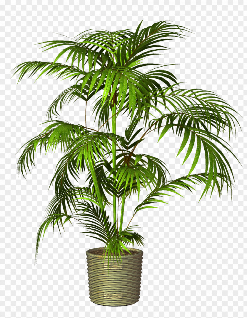 Potted Flowerpot Houseplant PNG