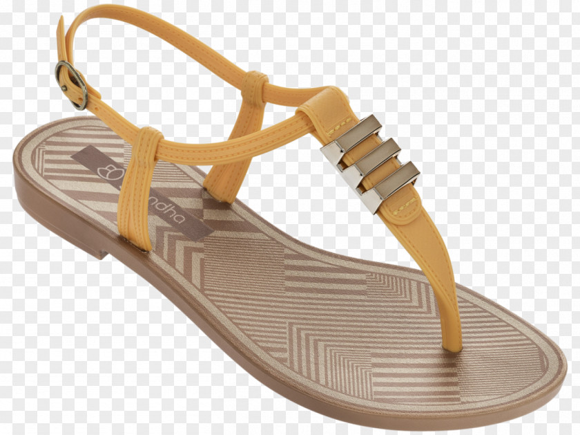 Sandal Ballet Shoe Moccasin Footwear PNG