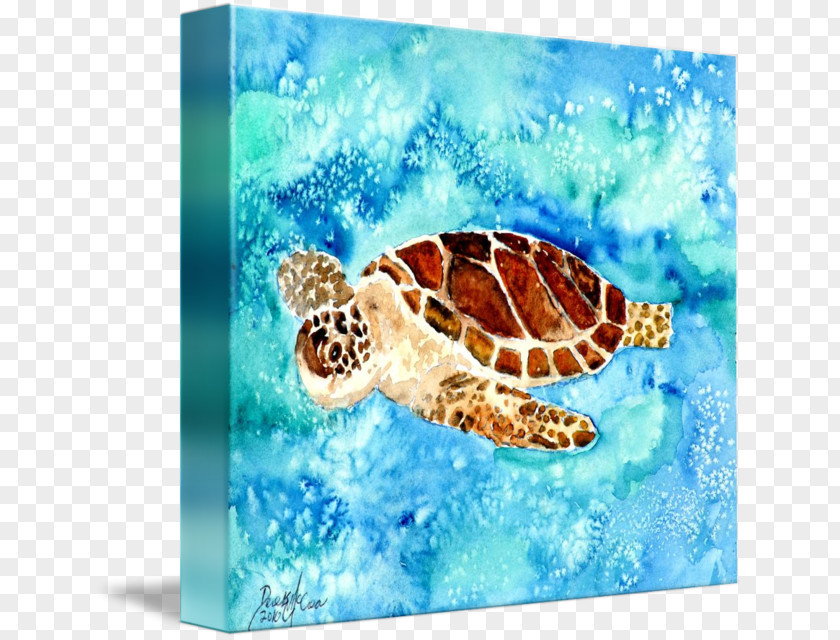 Sea Life Turtle Watercolor Painting Art Museum PNG