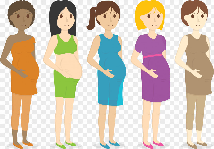 Vector Pregnant Woman Pregnancy Illustration PNG