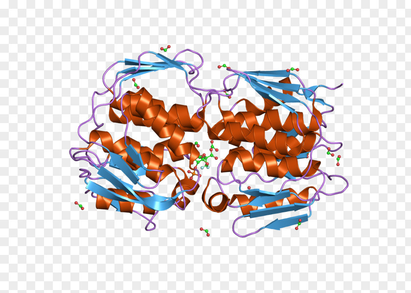 EPSP Synthase Chorismate Transferase Glyphosate E. Coli PNG