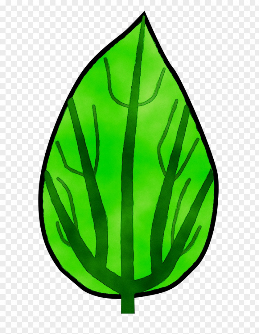 Leaf Clip Art Plant Stem Tree Plants PNG