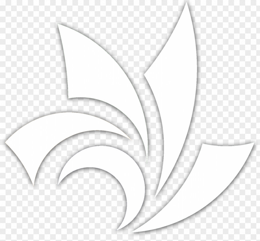 Leaf Line Art Angle Font PNG