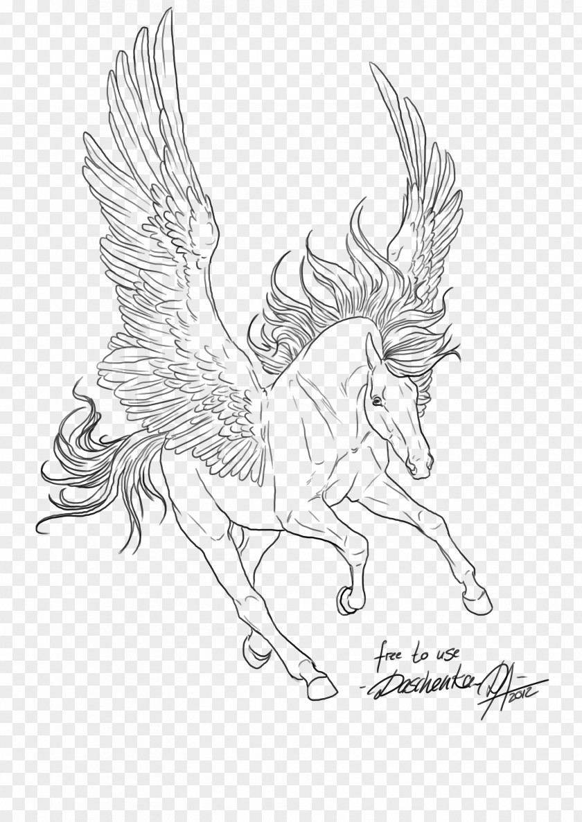 Pegasus Line Art Drawing Black And White PNG