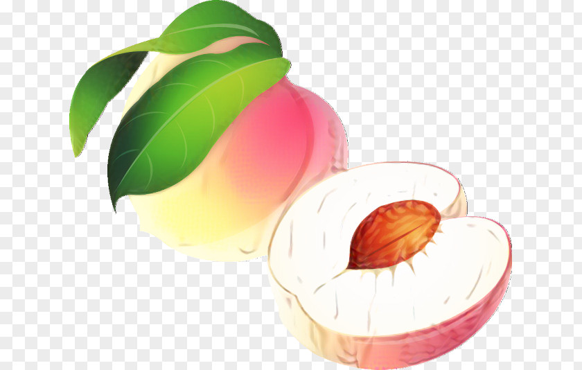 Product Design Apple PNG
