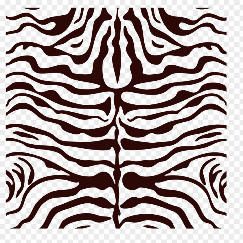 Tiger Stripes Carpet Zebra Shag Animal Print NULOOM RUGS PNG