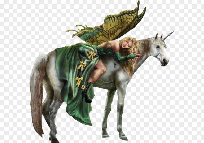 Unicorn Fairy Legendary Creature Mythology Fantasy PNG