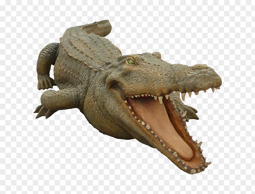 Crocodile Crocodiles Nile Alligator Animal PNG