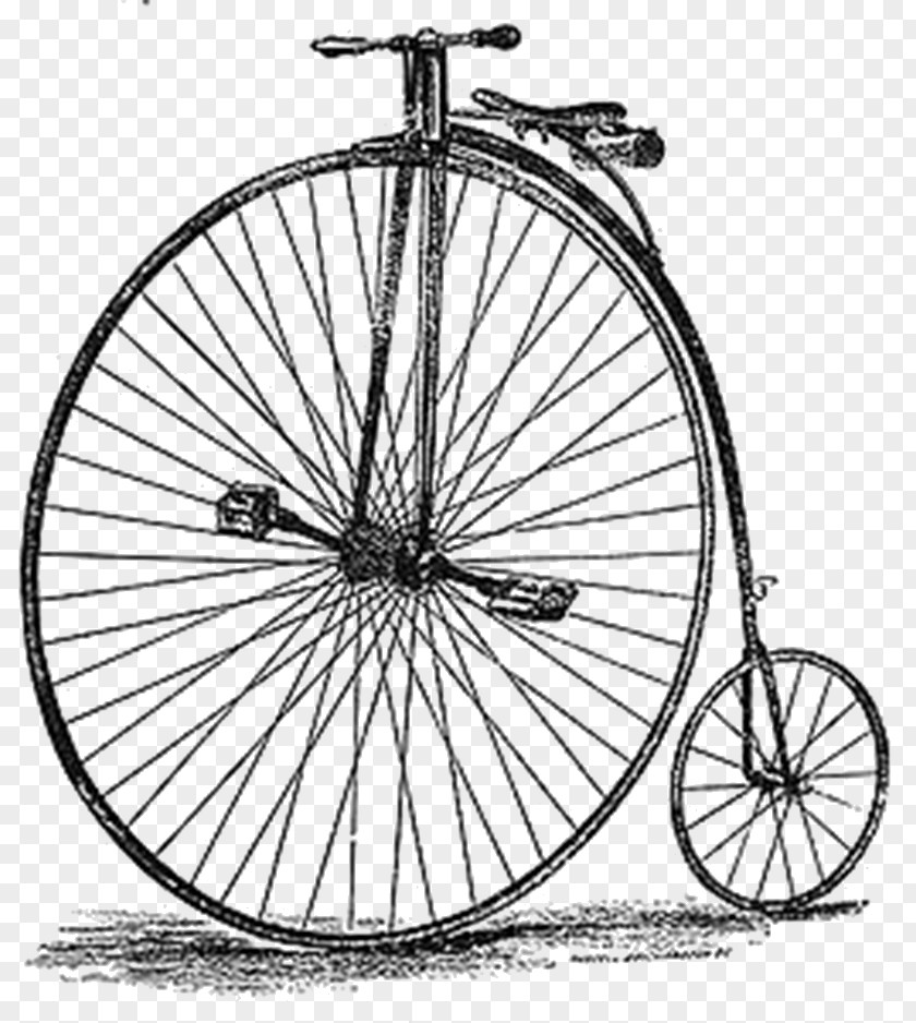 Cyclist Front Bicycle Wheels Penny-farthing Illustration Vector Graphics PNG