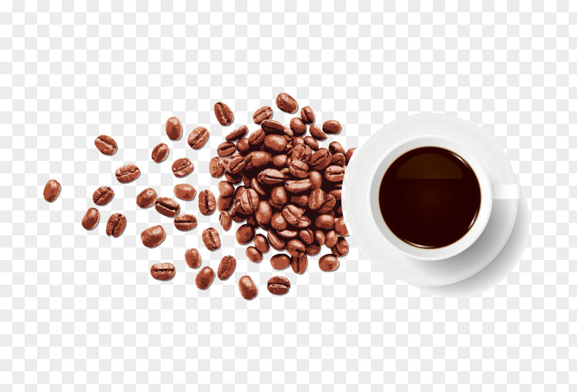 Freshly Ground Coffee Beans Bean Espresso PNG