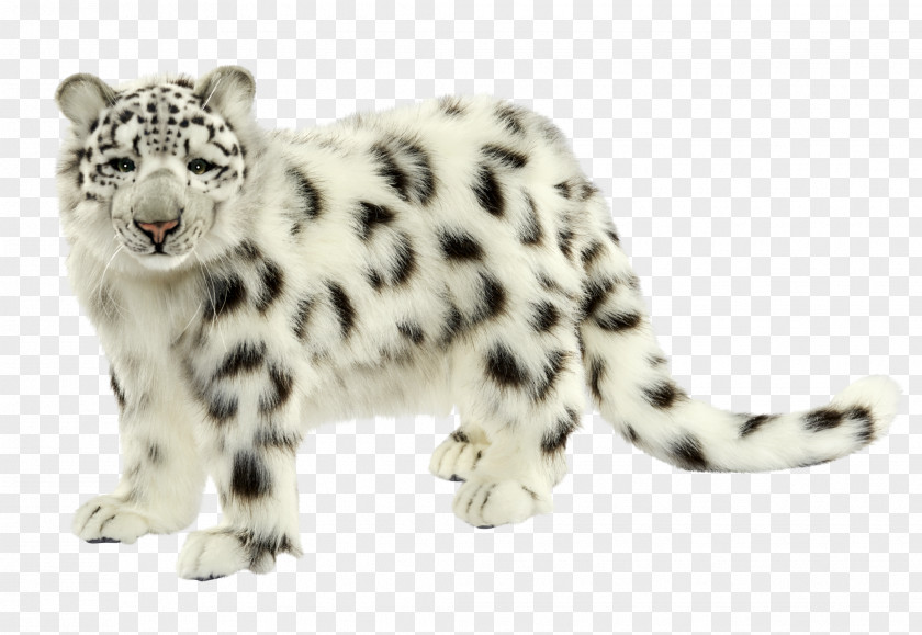Leopard Felidae Anatolian Amur Snow Mammal PNG