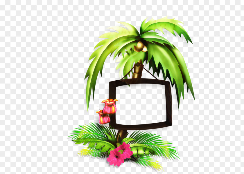 Palm Trees Leaf Clip Art PNG