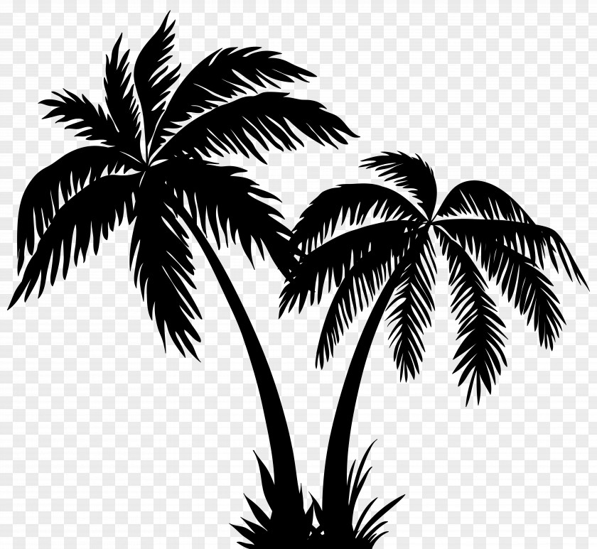 Palms Silhouette Clip Art Image Arecaceae PNG