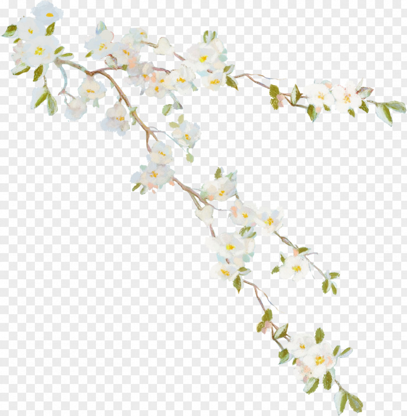 Vines Flower Vine Desktop Wallpaper Clip Art PNG