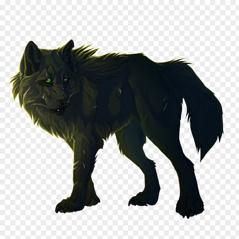 Wolf Gray Cat Art Basior PNG