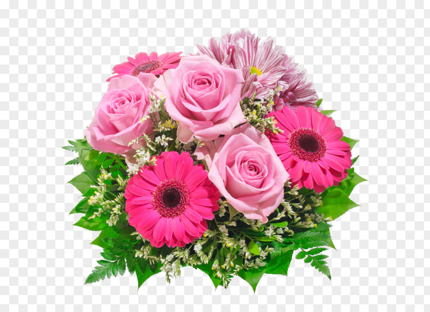 มงกุฏ Garden Roses Floral Design Cut Flowers Transvaal Daisy PNG