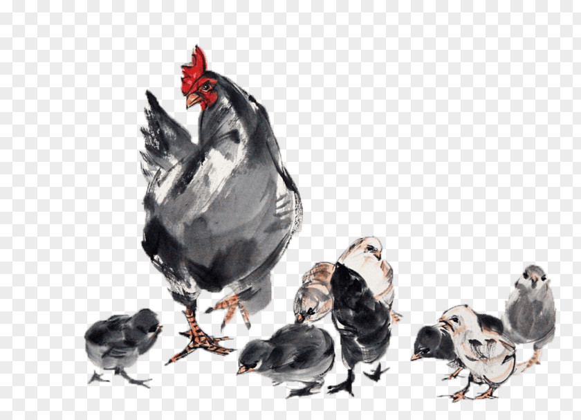 Grosse Poule Chicken Image Chinese Zodiac Clip Art PNG
