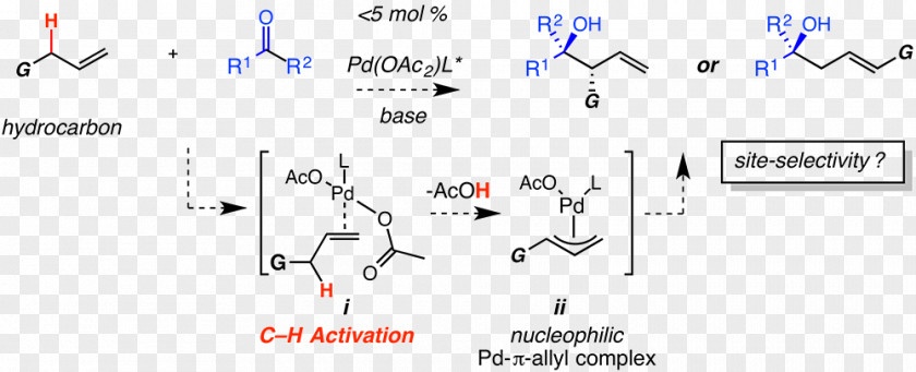 Practical Utility Allyl Group Transition Metal Alkene Coordination Complex Catalysis PNG