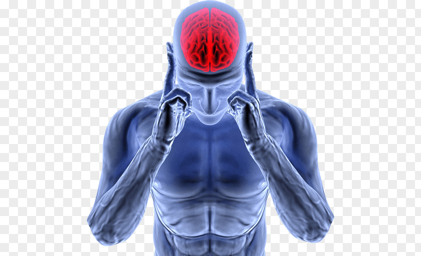 Brain Human Neuroimaging Neuron Neurological Disorder PNG