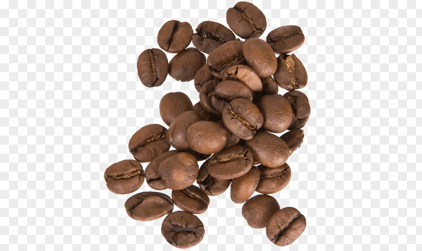 Coffee Jamaican Blue Mountain Espresso Cafe Arabica PNG