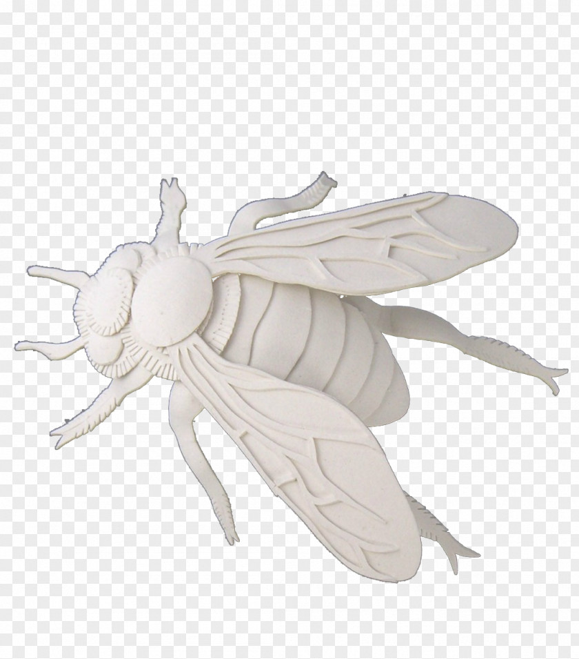 Cut Paper Insect Cicadas Bee PNG