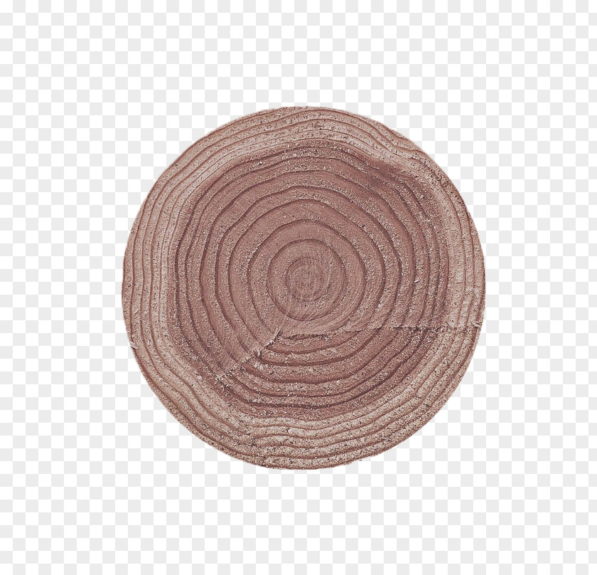 Details Of Carbonized Wood Tree Shayla Bark Aastarxc3xb5ngad Circle PNG