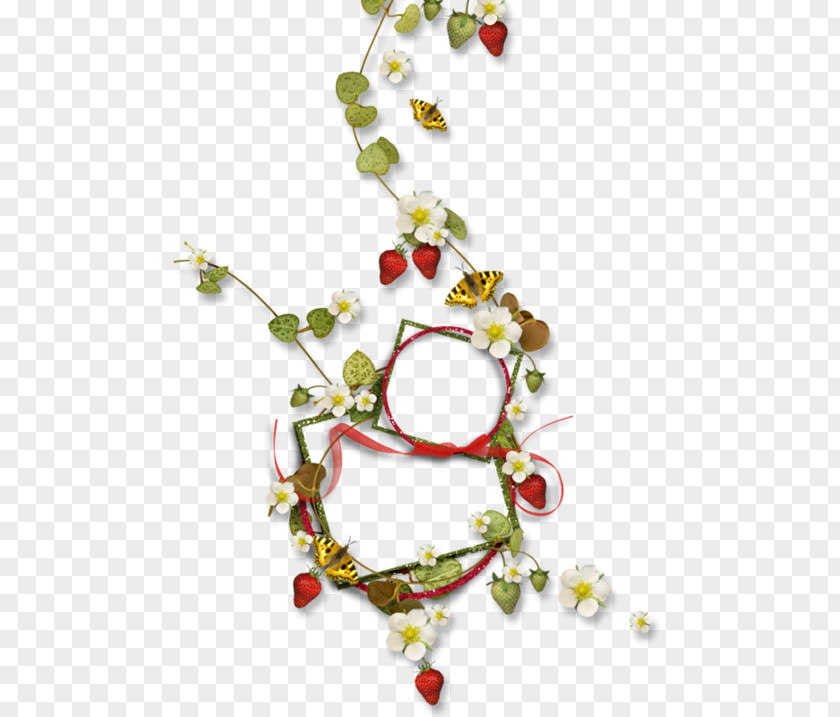 Fruit PNG