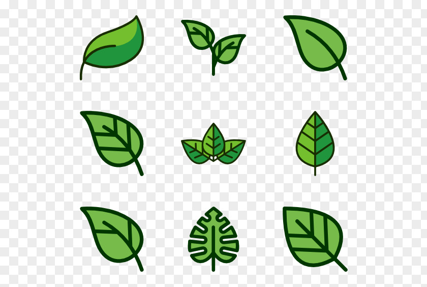 Green Beans PNG